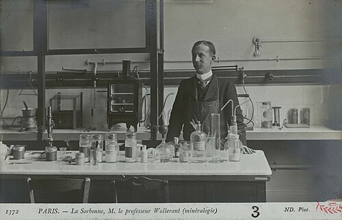 Portrait de Frédéric Wallerant