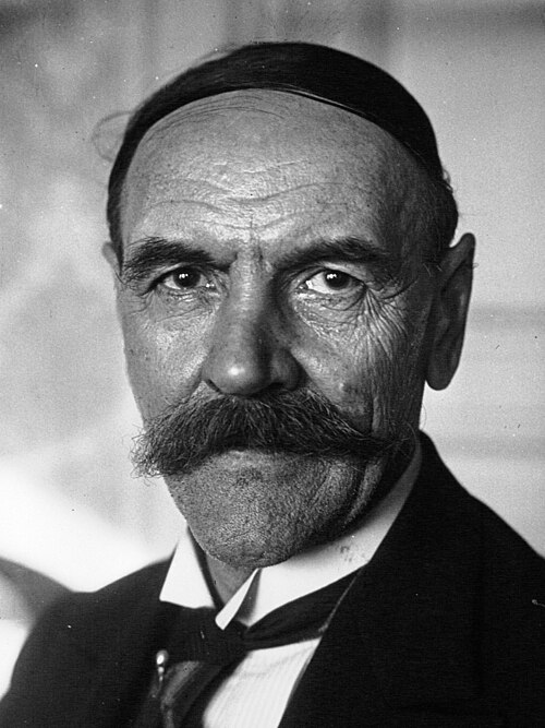Portrait de Henri Roy