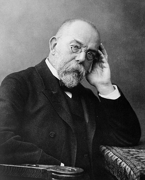 Portrait de Robert Koch