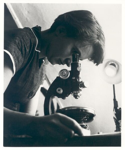 Portrait de Rosalind Elsie Franklin